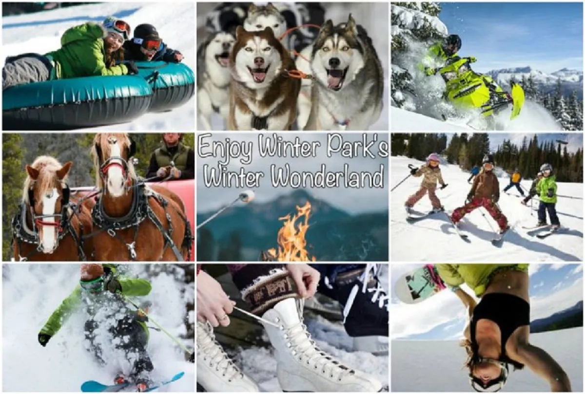 This action-filled exterior image captures families and children enjoying a variety of winter activities including snow tubing, skiing, dog sledding, snowmobiling, and playing in the snow. The setting is lively and energetic, with huskies ready for sled rides and a cozy fire for warming up post-adventure.